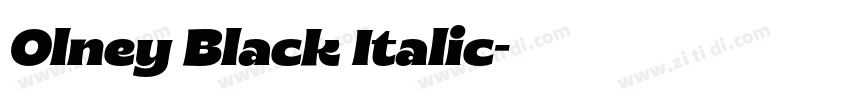 Olney Black Italic字体转换 Olney Black Italic字体转换